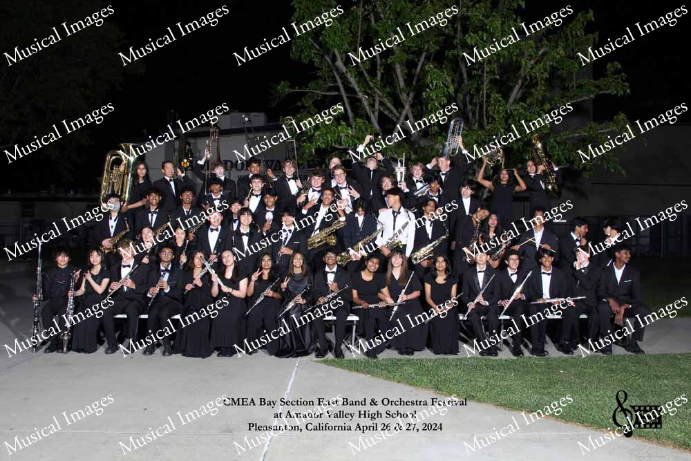 Musical Images